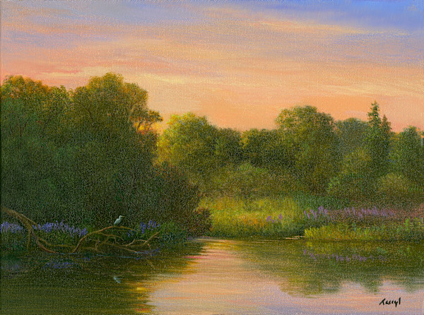Egret in the Shadows at Sunset by Tarryl Gabel