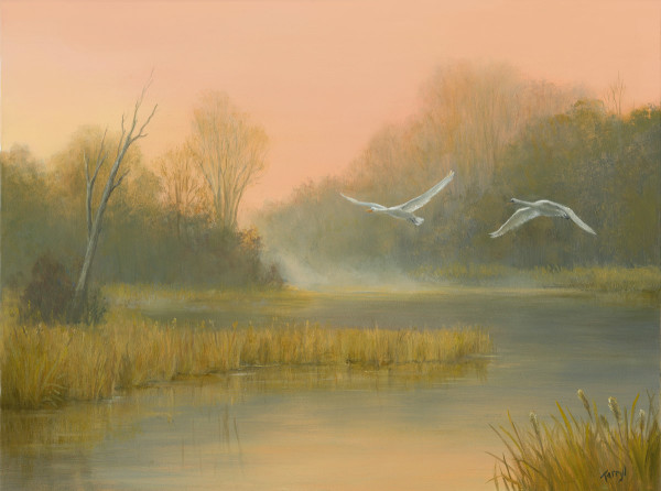 Autumn in the marsh with swans flying