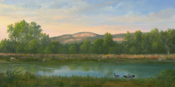 Geese along the gunks by Tarryl Gabel