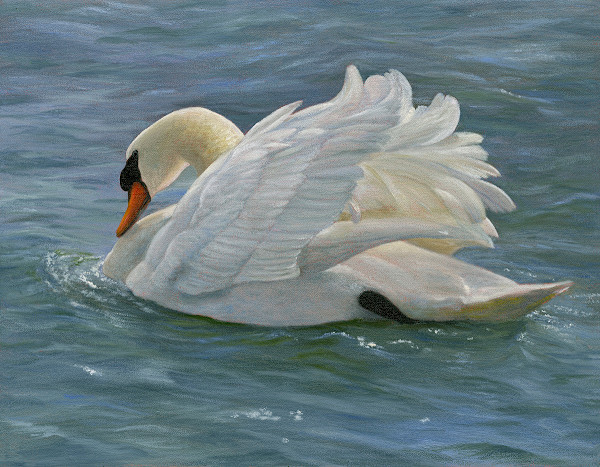 Sunlit Mute Swan by Tarryl Gabel
