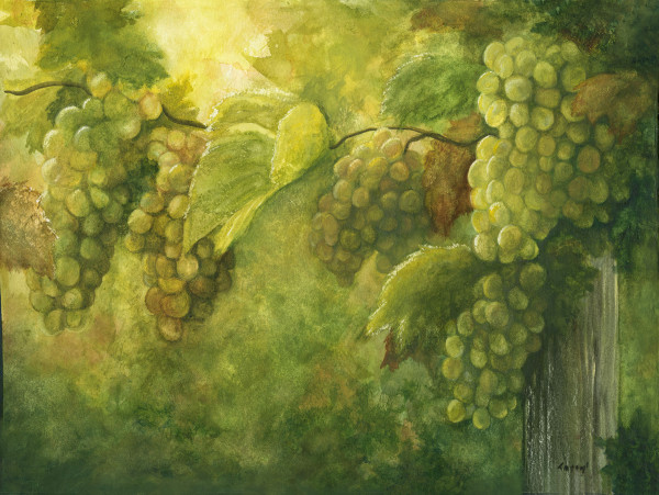 Grapes on the Vine by Tarryl Gabel