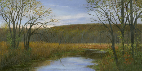 October morning along the Great Swamp by Tarryl Gabel