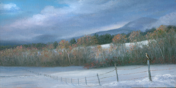 Hawk NH Winter by Tarryl Gabel