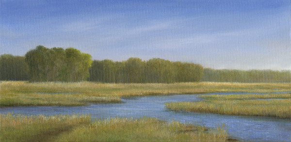 Herring Marsh spring by Tarryl Gabel