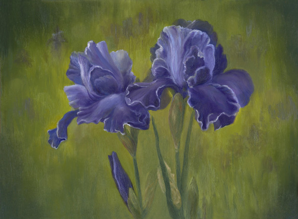 Purple Irises by Tarryl Gabel