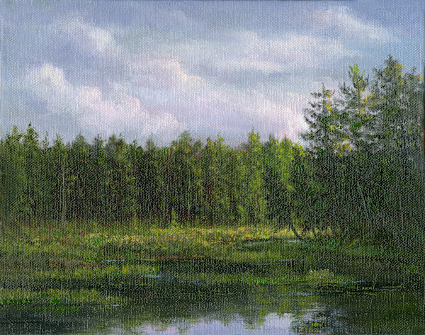 Leaning tree, cloudy morning Adirondacks by Tarryl Gabel