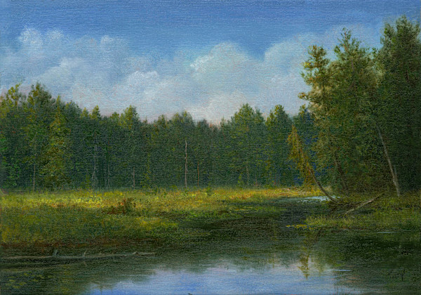 Leaning tree marsh, ADKs by Tarryl Gabel