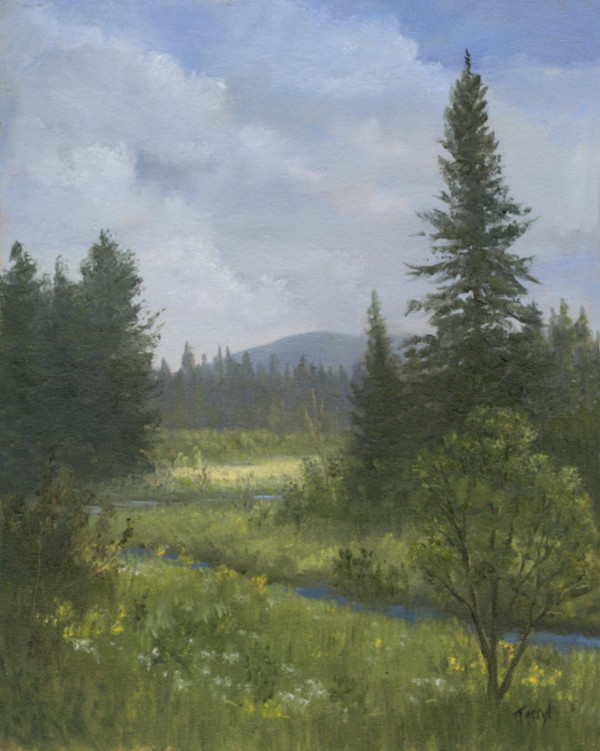 Little Adirondack Stream, Meadow and Mountain by Tarryl Gabel