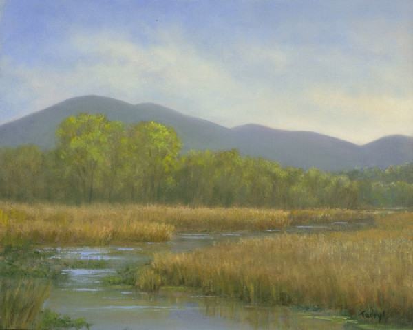 Marsh- Mnt Beacon by Tarryl Gabel