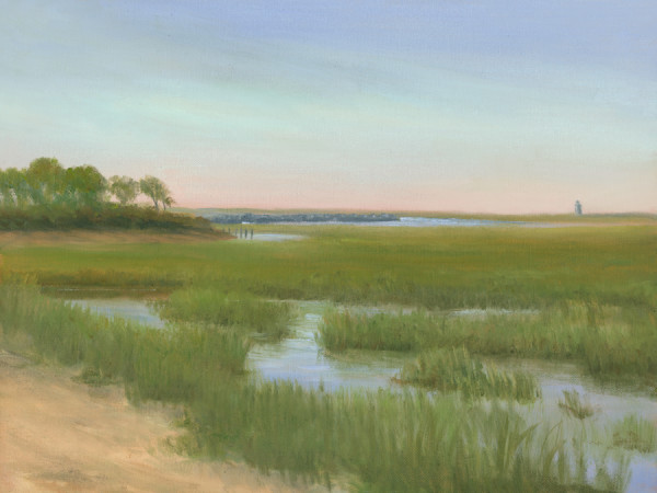 Provincetown Marsh by Tarryl Gabel