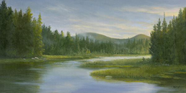 Meatchum Pond, Adirondacks by Tarryl Gabel