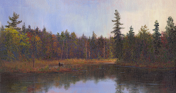 Moose spotting in the marsh by Tarryl Gabel