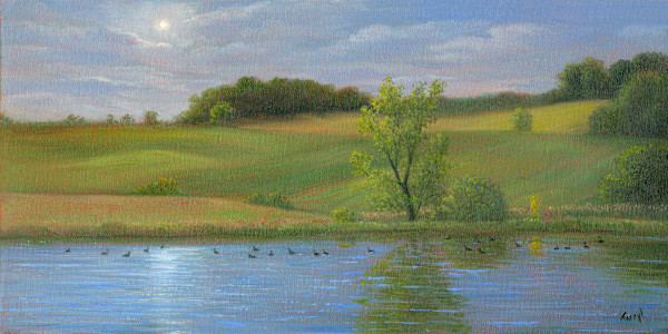 Geese on the Pond, Bonita Farms by Tarryl Gabel