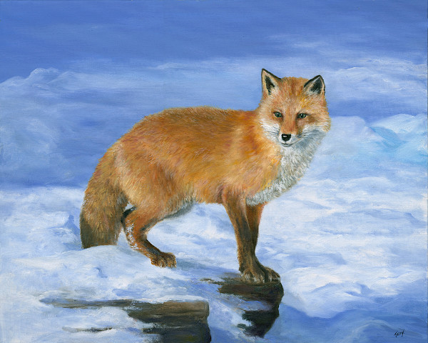 Red Fox by Tarryl Gabel