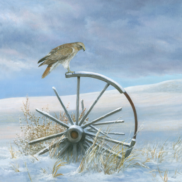 Red Tailed Hawk perched on old Wagon Wheel by Tarryl Gabel