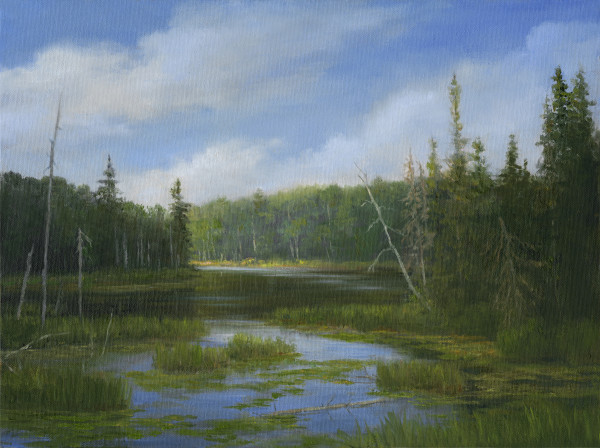 Adirondack Marshlands by Tarryl Gabel