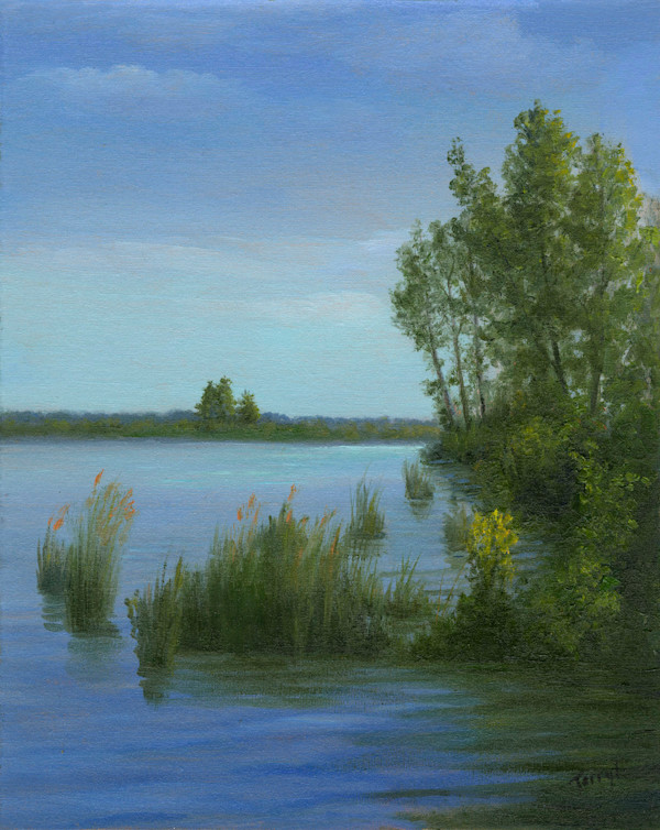 Shorline, Drummond Lake by Tarryl Gabel