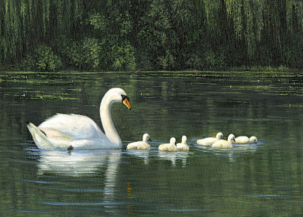 Spring brings babies by Tarryl Gabel, Image 1.