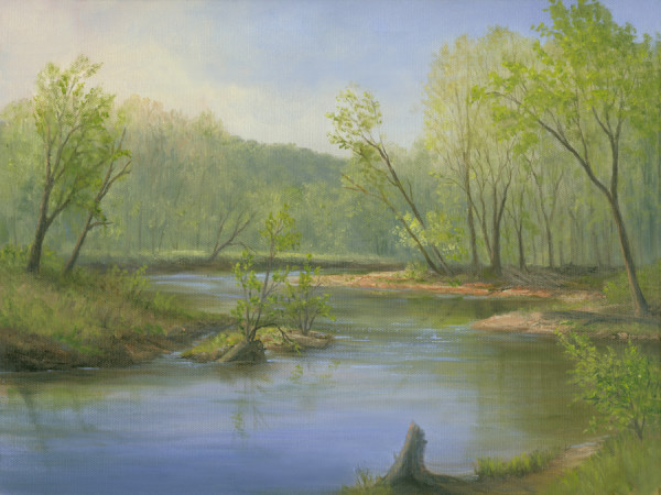 Spring morning along Wappingers Creek by Tarryl Gabel