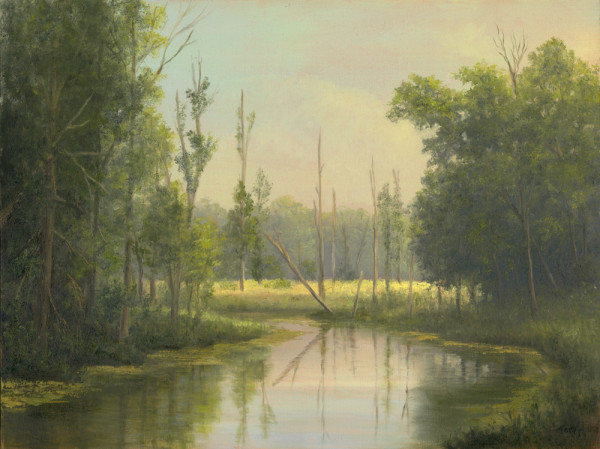 Swamp River by Tarryl Gabel