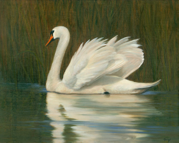 Swan in the marsh by Tarryl Gabel