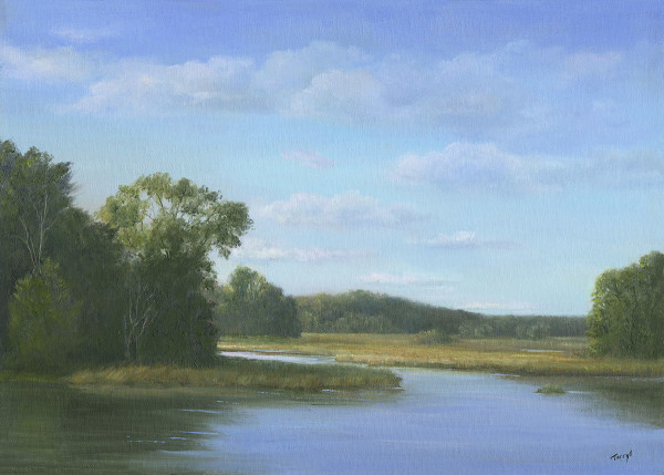 Tidal Marsh - Duxbury MA by Tarryl Gabel