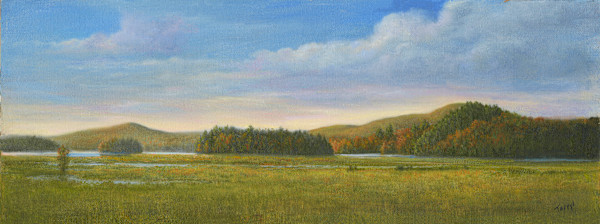 Tupper Lake by Tarryl Gabel