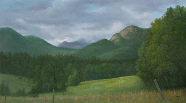 Valley View Mnt. Vista, ADKS by Tarryl Gabel
