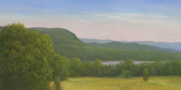 Vanderbilt View, early summer by Tarryl Gabel
