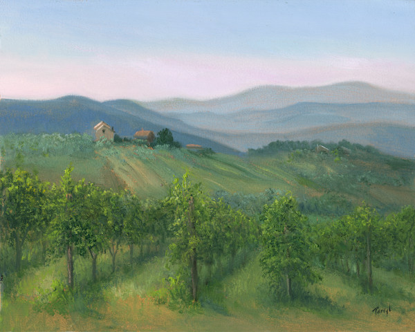 The vineyard at Catina Fosso Degli Angeli by Tarryl Gabel, Image 1.