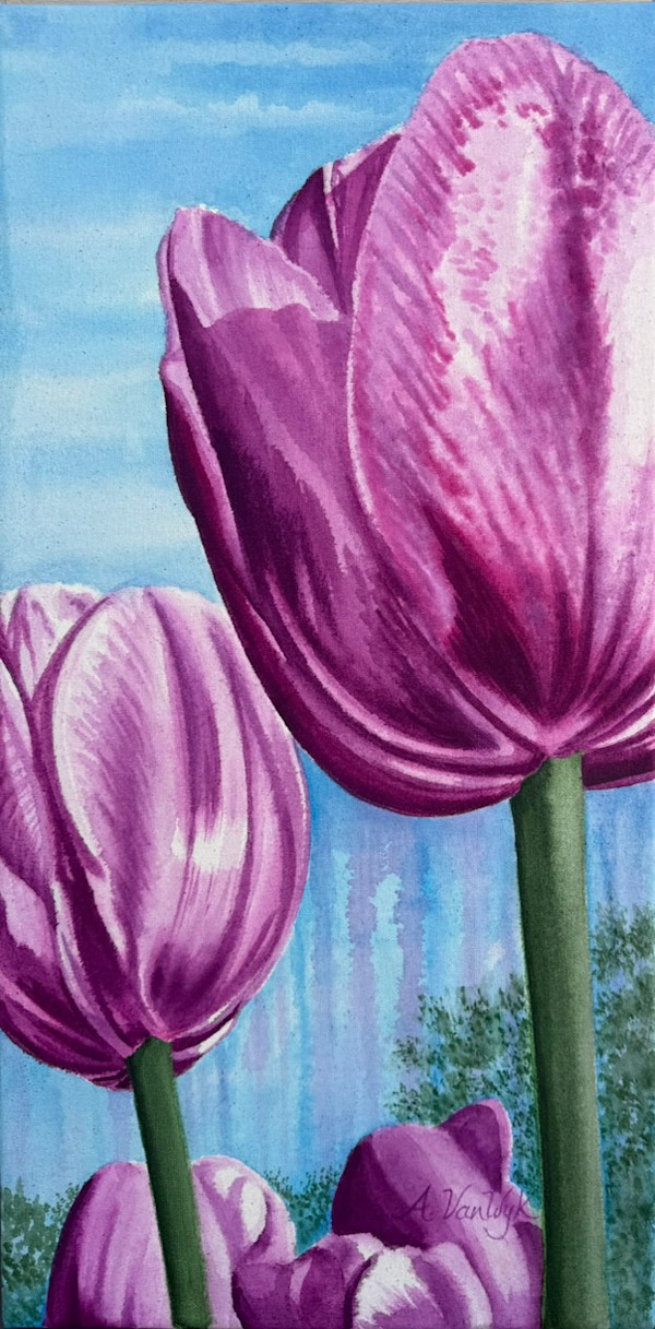 Tulips on the West Side of the Square, Pella, Iowa by Andrea VanWyk, Image 1.