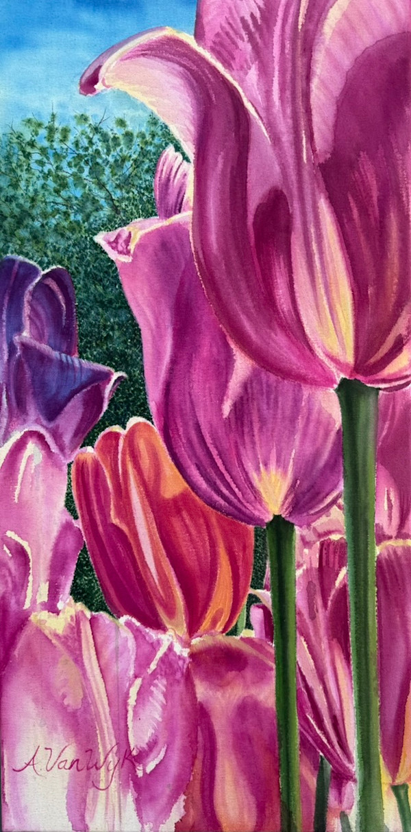 Avenue of Tulips, Pella, Iowa by Andrea VanWyk, Image 1.