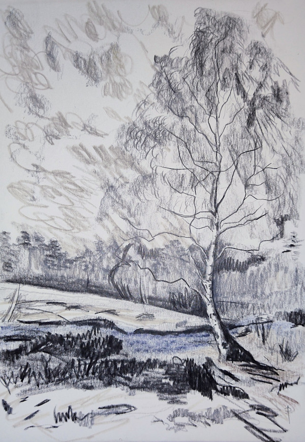Silver Birch by Lac du Vassivier by Phoebe Thomasson, Image 1.