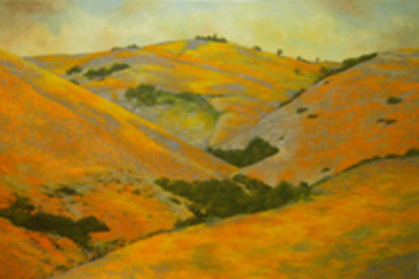 Gorman Series: Flowering Hills VII by Merrilyn Duzy