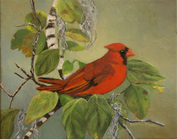 CARDINAL IN THE DOGWOOD by Brenda Francis