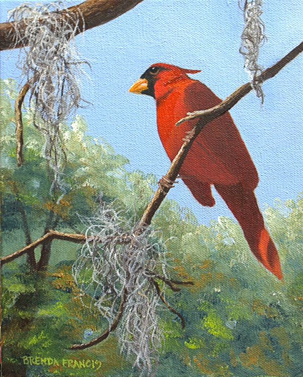 CARDINAL IN THE TREETOP by Brenda Francis