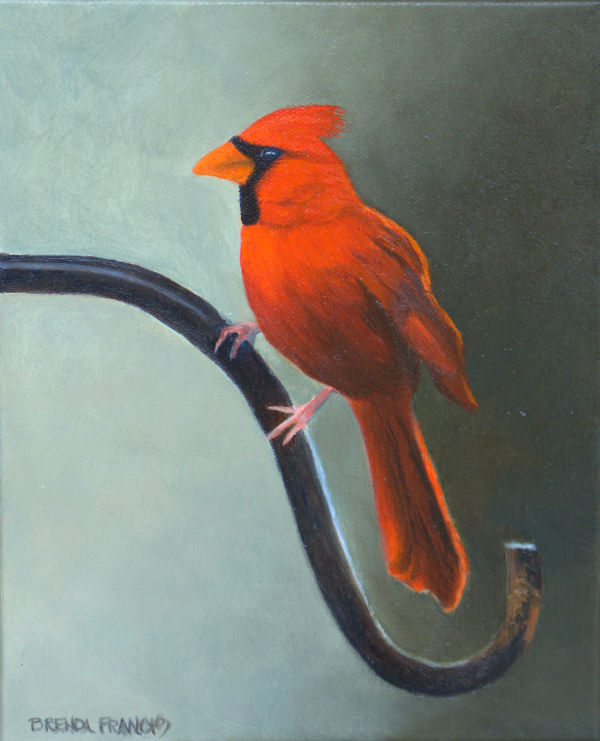 CARDINAL ON THE WROUGHT IRON by Brenda Francis