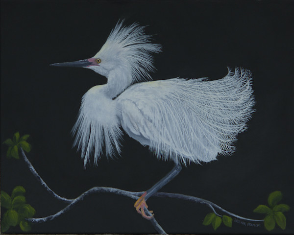FEELING SASSY by Brenda Francis