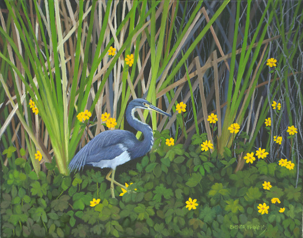 MARSH AND MARIGOLDS by Brenda Francis