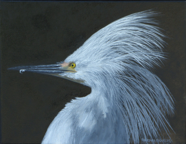FOCUSED by Brenda Francis, Image 1.