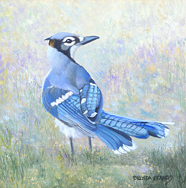 JAY by Brenda Francis