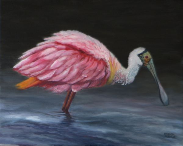 COLORS OF THE SPOONBILL by Brenda Francis