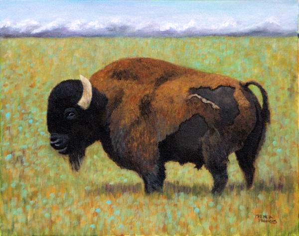Yellowstone Buffalo by Brenda Francis