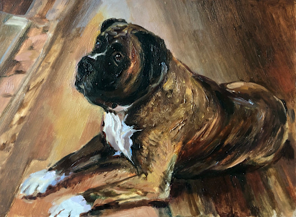 Koa