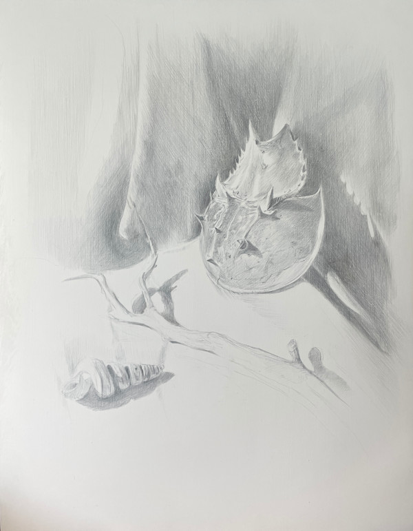 Sanibel Still Life by Monica Dix