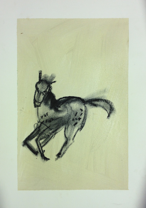 Yearlings 02 by Steve Baird