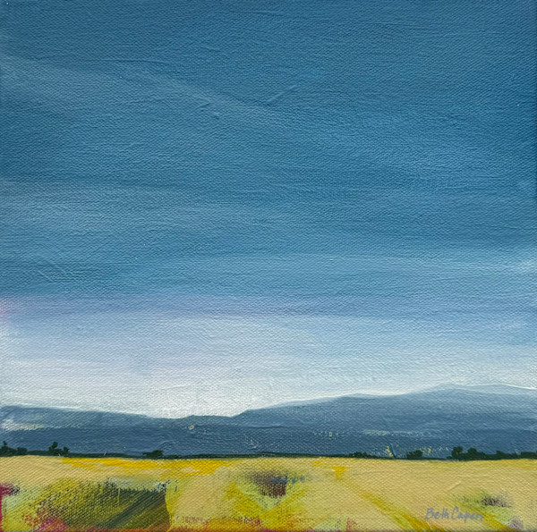 Sweeping Softness by Beth Capen