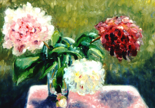 700 Hundred Acre Peonies by Janice L. Moore