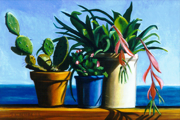 Christmas Cactuses by Janice L. Moore