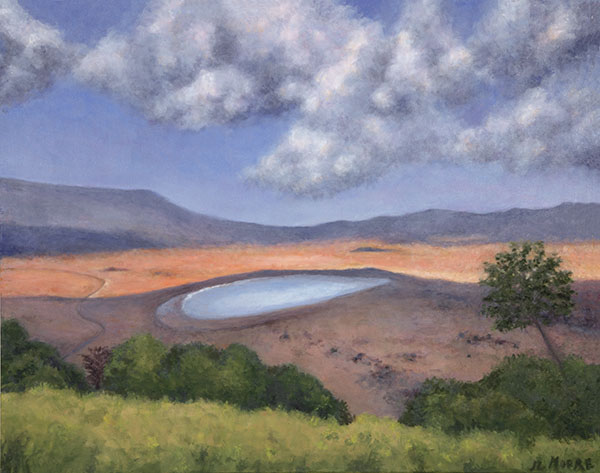 Ngorongoro (a long view of the world) by Janice L. Moore